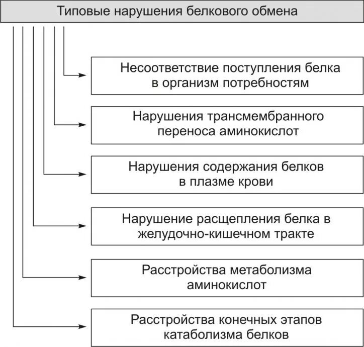 Нарушения белка в организме. Основные механизмы нарушения белкового обмена. Типовые нарушения белкового обмена патофизиология. Нарушение основных этапов белкового обмена. Причины нарушения белкового обмена экзогенные.