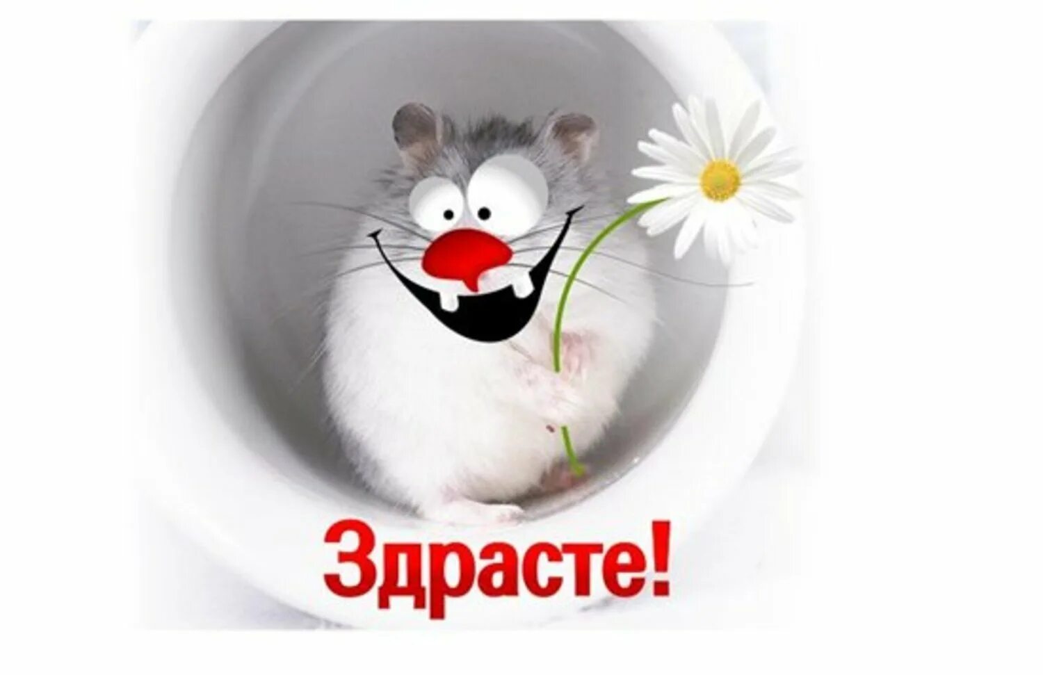 Картинка доброе чат. Стикер доброе утро. всем здрасте. стикеры с добрым утром. здрасте вам.