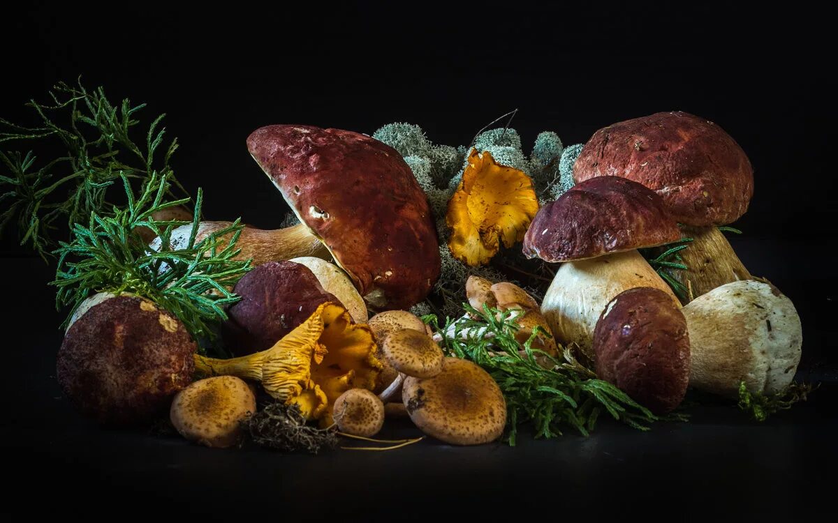 Грибное ассорти. Грибное ассорти маринованное. Грибы ассорти. Грибное ассорти главпродукт. Грибное лукошко ассорти.