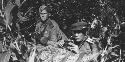 Военкоры с фронтов