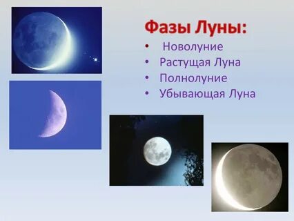 В какой стадии луна