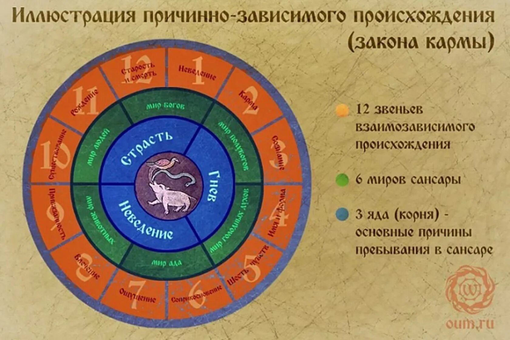 Почему год кармы. Колесо Сансары. Круг жизни буддизм. Закон Сансары. Круг Сансары.