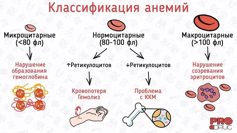 Как получить анемию