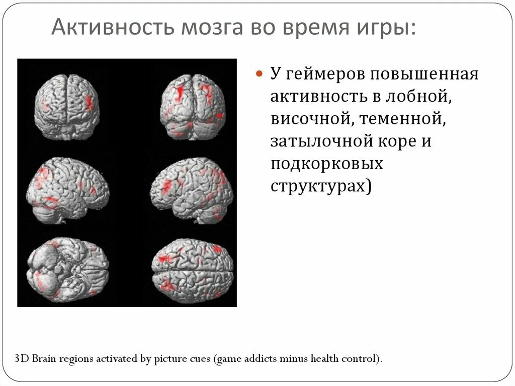 Активность мозга. Мозговая активность. Высокая активность мозга. Периоды активности мозга.