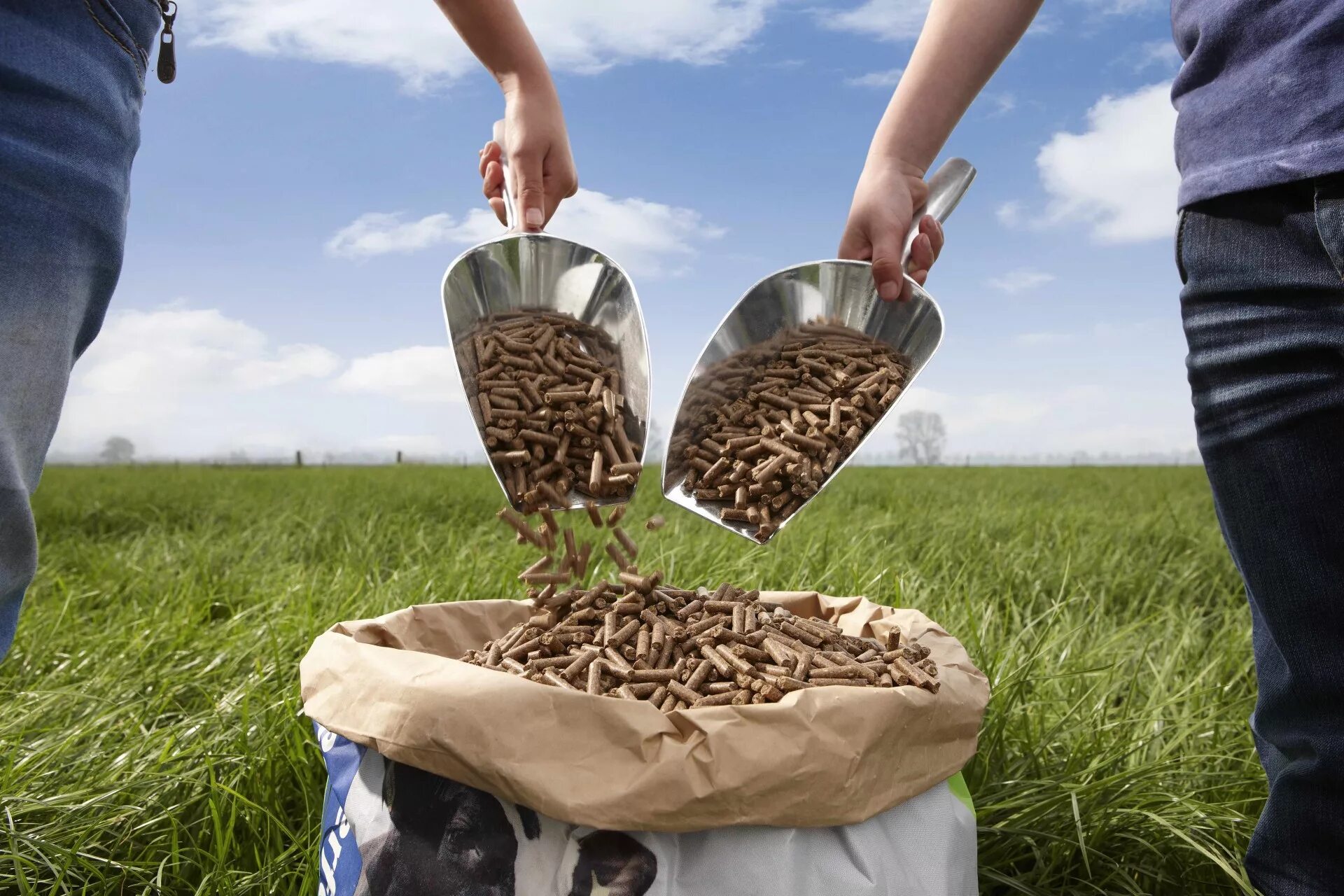 Feed object