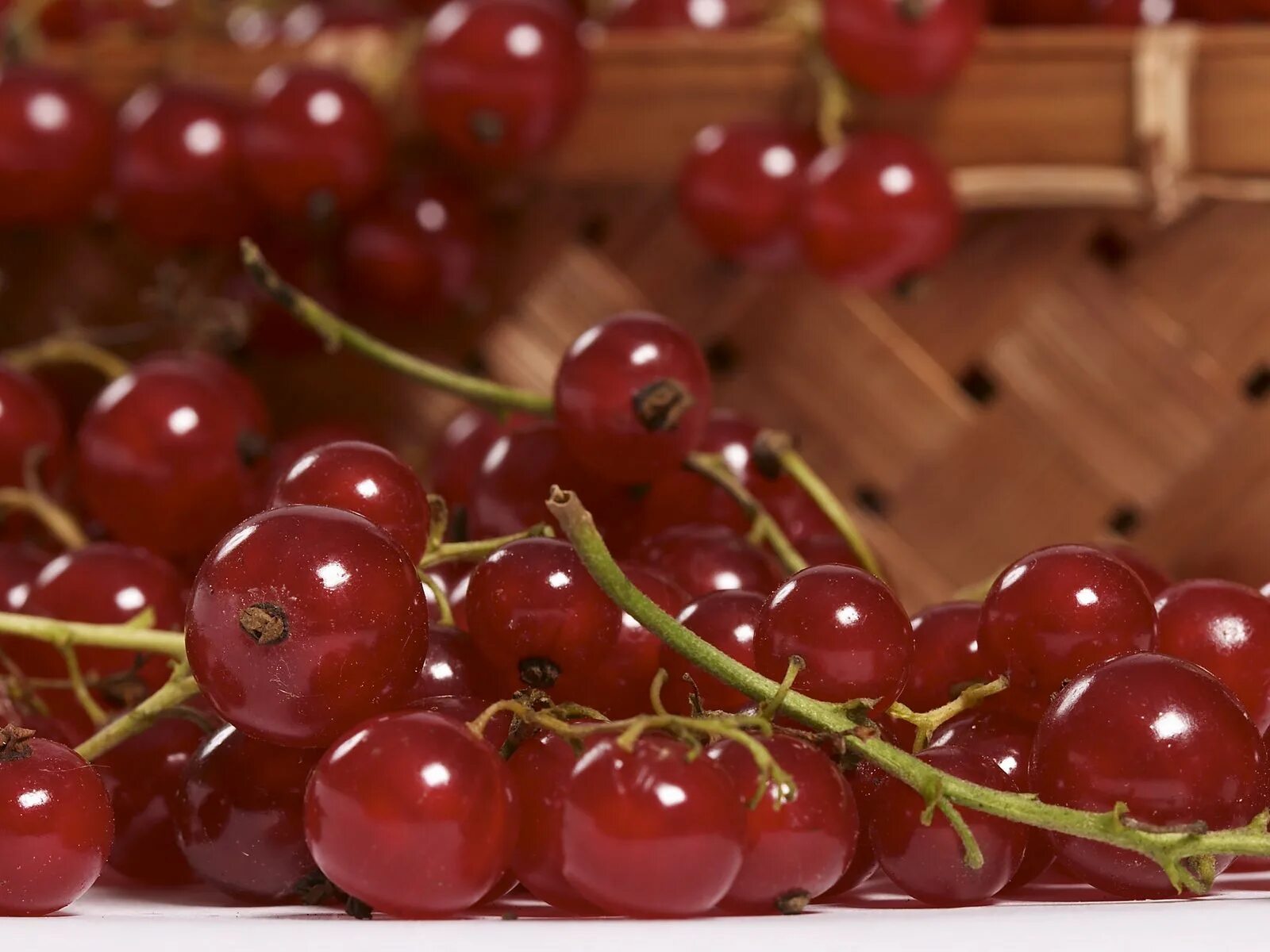 Черная смородина обои. Крушовица ягода. Смородина продукты. Черная смородина ягода съедобная. Мородина черная "ажурная".