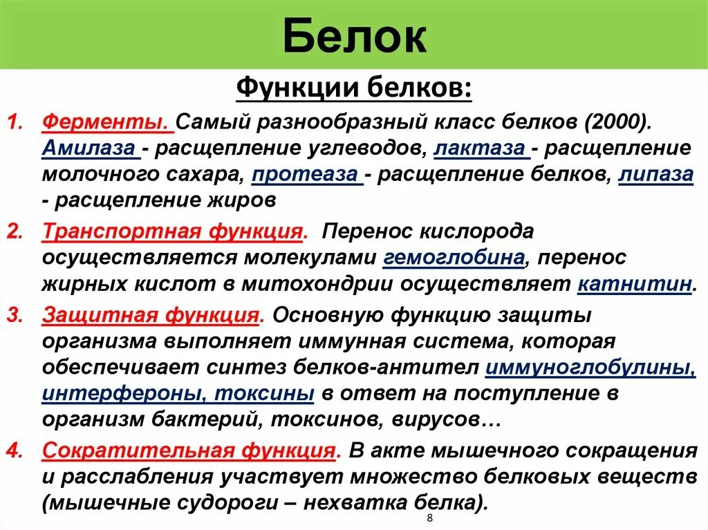 Ферментативная функция белков состоит в. Белки ферменты. Фермент расщепляющий белок. Ферментырасчепляющие белки. Белки ферменты функции.