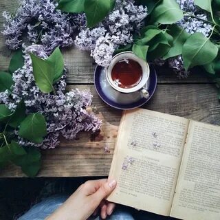 Доброе утро книга