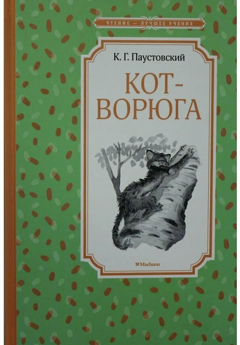 Книга кот ворюга Паустовский. Обложки книг Паустовского. К г паустовский книги