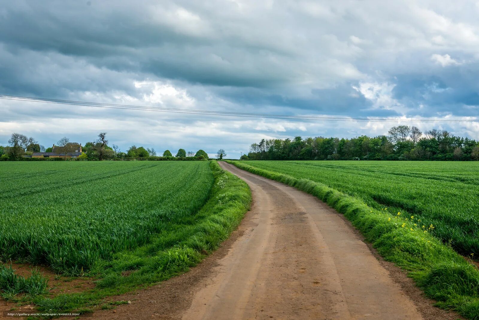 Поле с дорогой. Дорога в поле. Деревенская дорога. Дорога с травой. Query field