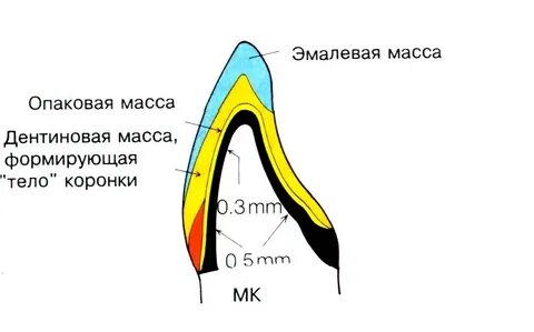 Коронка зуба покрыта эмалью