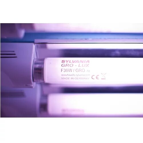 Светильник светодиодный для растений jazzway ppg t8i-1200. Uniel фитолампа 16вт. Люминесцентная лампа для растений bio 36вт 1213мм. Лампы t8 для растений. Лампа l36w/77 fluora.