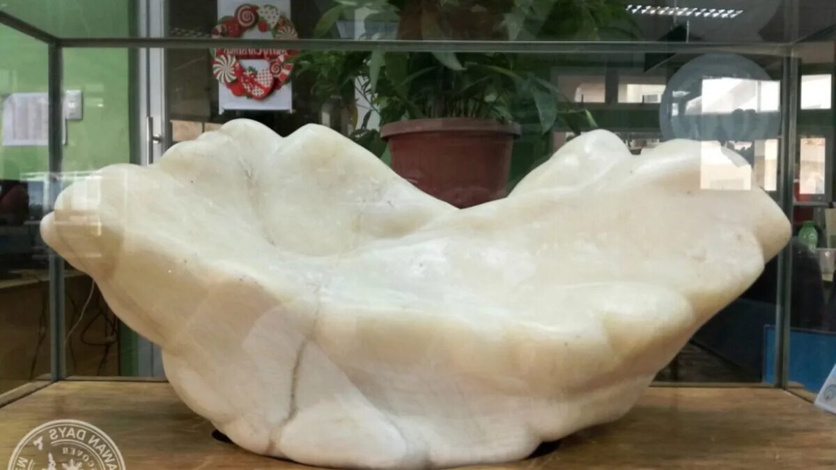 Жемчужина красота океана $139 млн. Самая большая жемчужина лао цзы. Жемчуг лао цзы. Жемчужина 34 кг филиппины. Жемчужина голова аллаха.