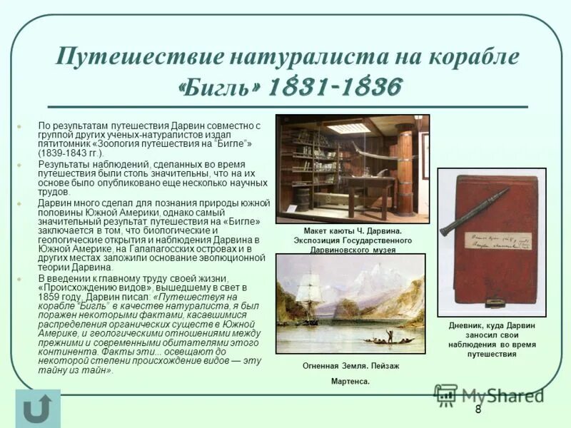 Какие наблюдения дарвин. Жан анри фабр вклад в науку. Какие наблюдения дарвин. Чарльз дарвин естественный отбор. Дарвина.