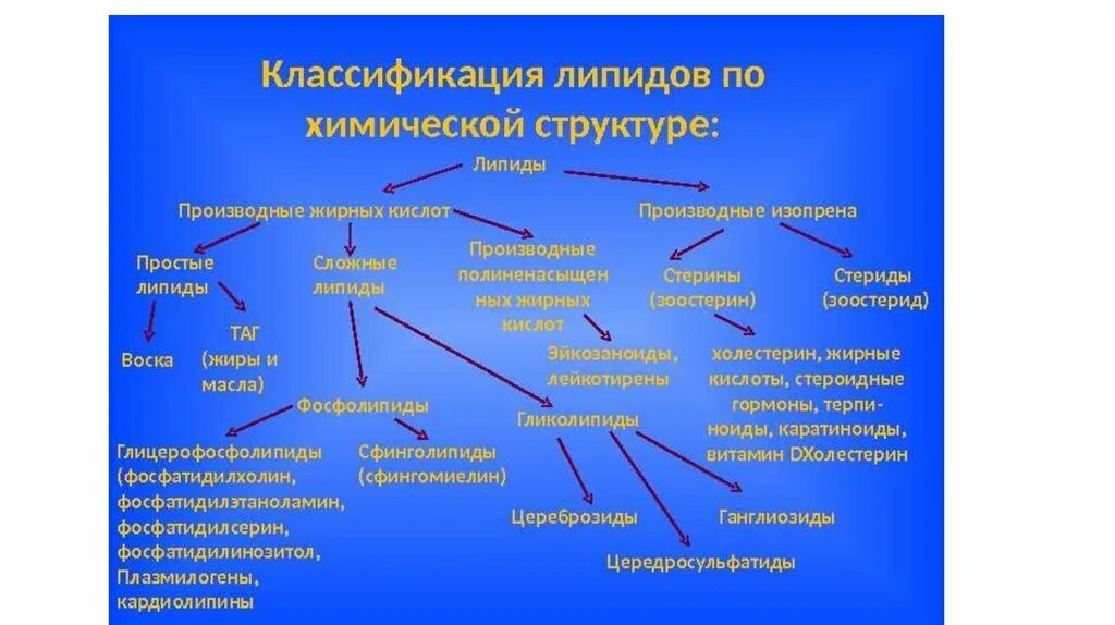 Основные липиды тканей человека. Основные 3 класса липидов. 1. Классификация липидов. Классификация жиров и липидов. Строение важнейших групп липидов.