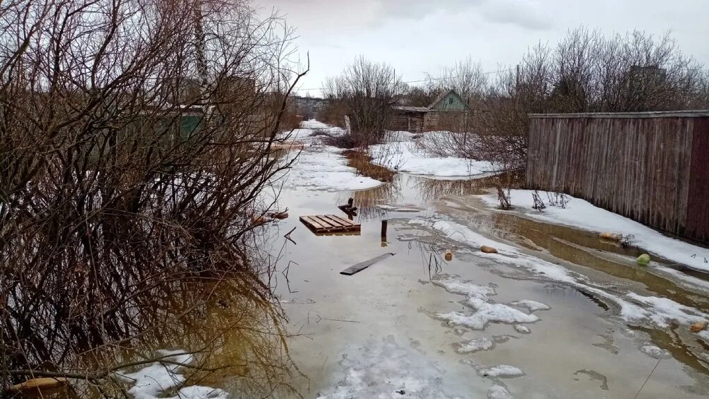 Затопило дачи на светлой жизни. Вода на участке весной. Топит дачи. Топит дачи. Потопленные дачи.