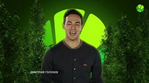 Звериный репортер