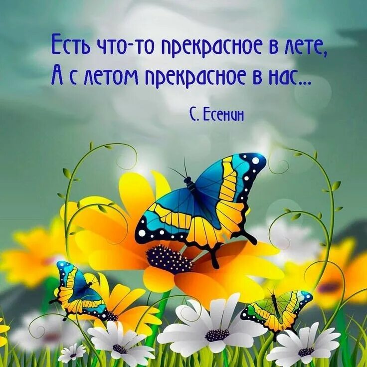 Цитаты лета со смыслом. Красивые цитаты про лето. Летние цитаты. Красивые фразы про лето. Цитаты о лете.