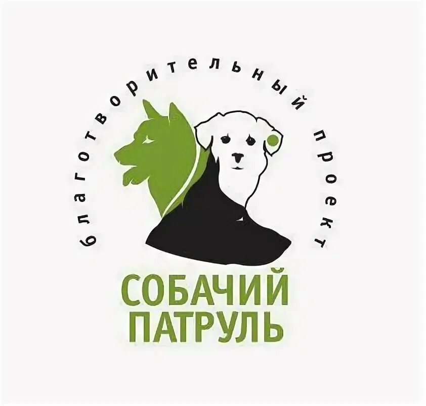 Собачий патруль ростов. Щенячий патруль мега круизер 6054649. Шенячийпатруль 2022. Собачий патруль ростов. Щенячий патруль гонщик и скай.