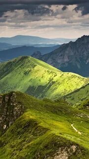 Зеленые горы отзывы
