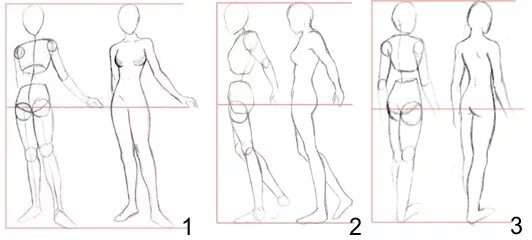 Рисовать человека поэтапно карандашом в полный рост. Тело рисунок. Тело человека рисунок. Тело девушки рисунок. Рисование тела для новичков.