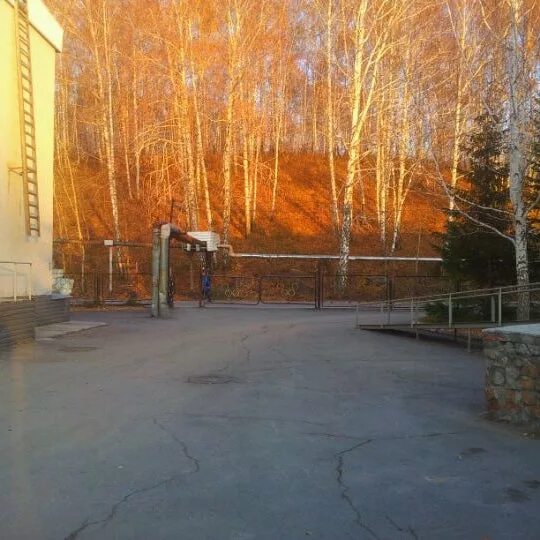 Нбк новосибирский биатлонный комплекс. Новосибирский биатлонный комплекс. биатлонный комплекс новосибирск. биатлонная 1 новосибирск. биатлонная 1 к2 новосибирск.