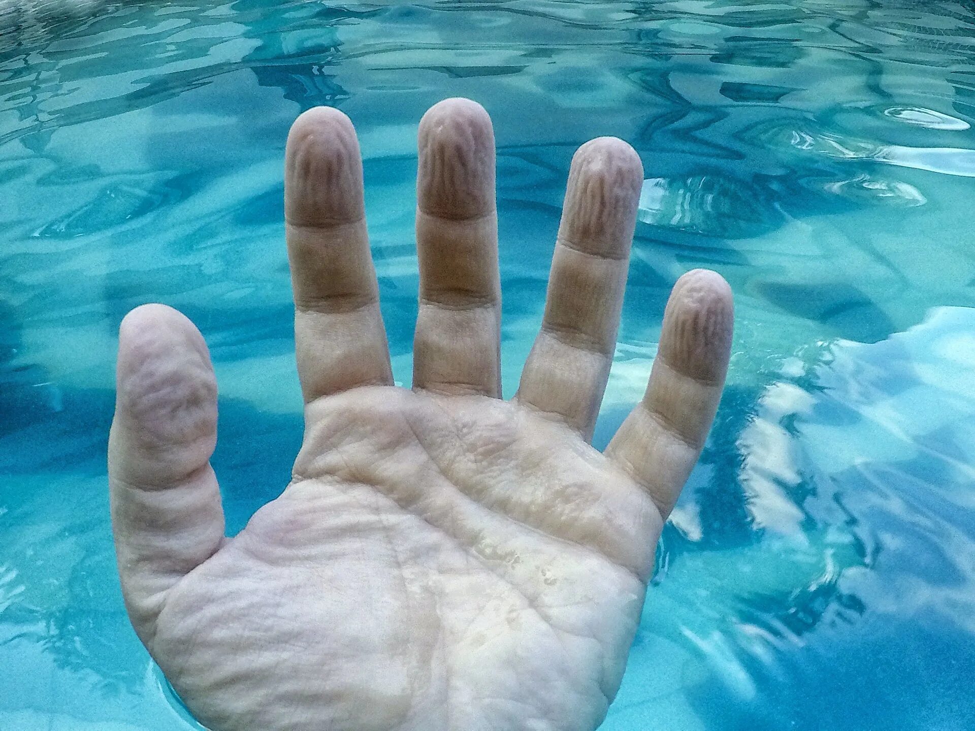 Длительное пребывание в воде. Руки после долгого пребывания в воде. морщинистые руки после воды рисунок.