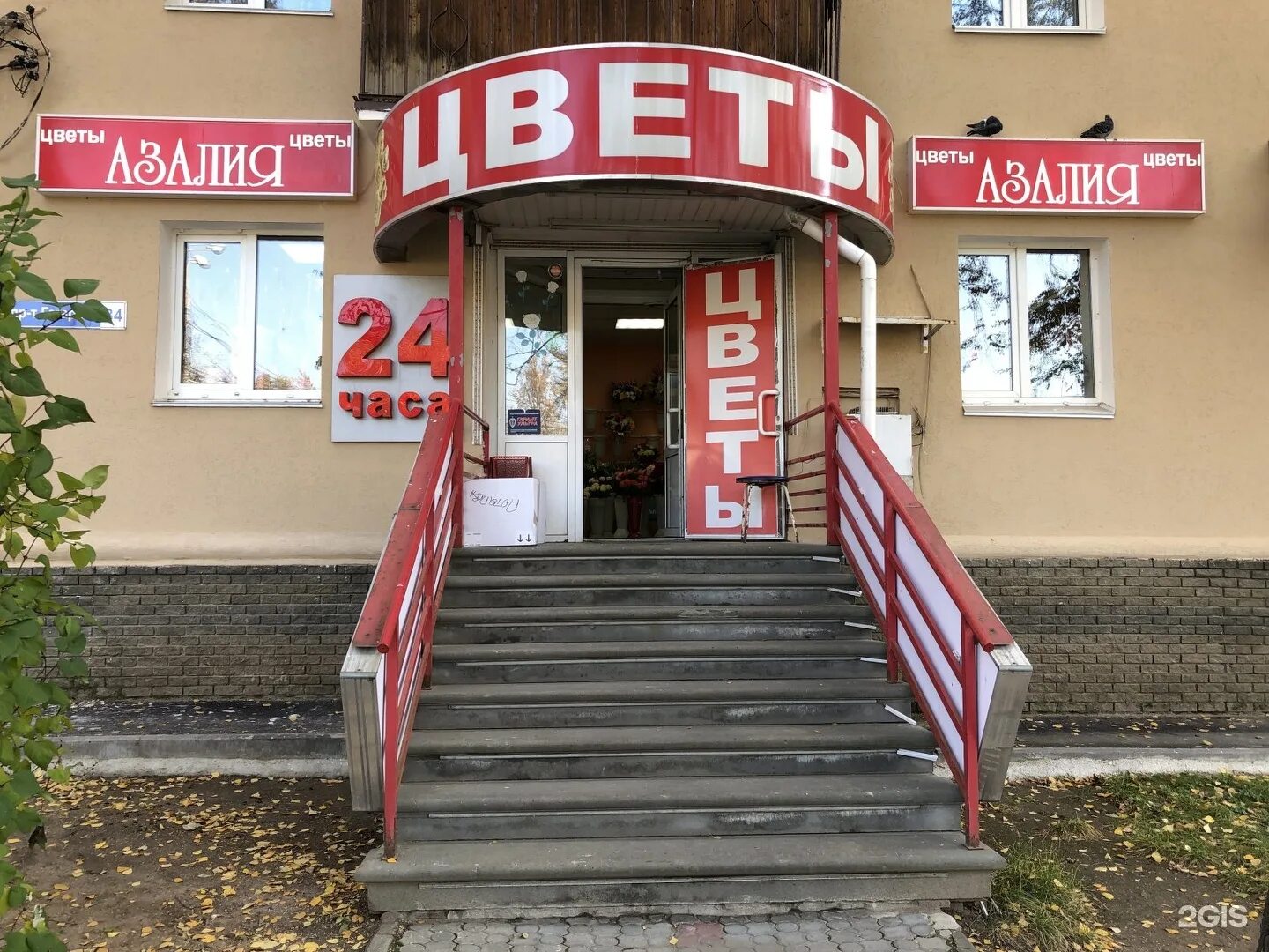Гагарина 42 нижний новгород. Нижний новгород, просп. Гагарина 42 ярославль. Гагарина, 42. Гагарина 42 нижний новгород.