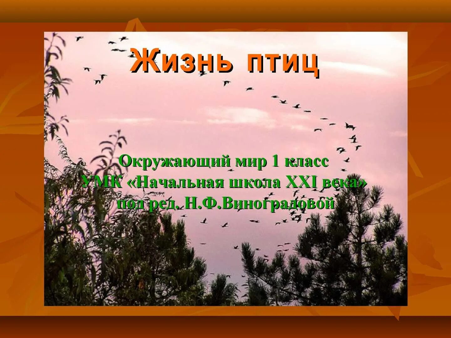Жизнь птиц окружающий. Что делают птицы осенью. птицы 1 класс окружающий мир 21 век. птицы презентация 1 класс начальная школа 21 века. тема птицы осенью начальная школа 21 века.