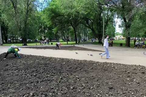 Тамбов сквер