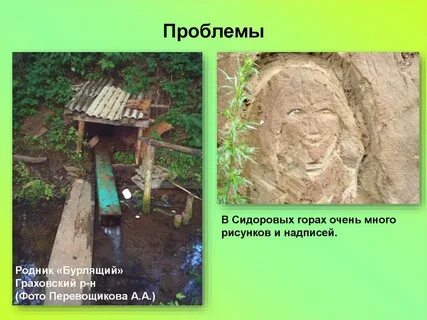 Проблемы памятников природы