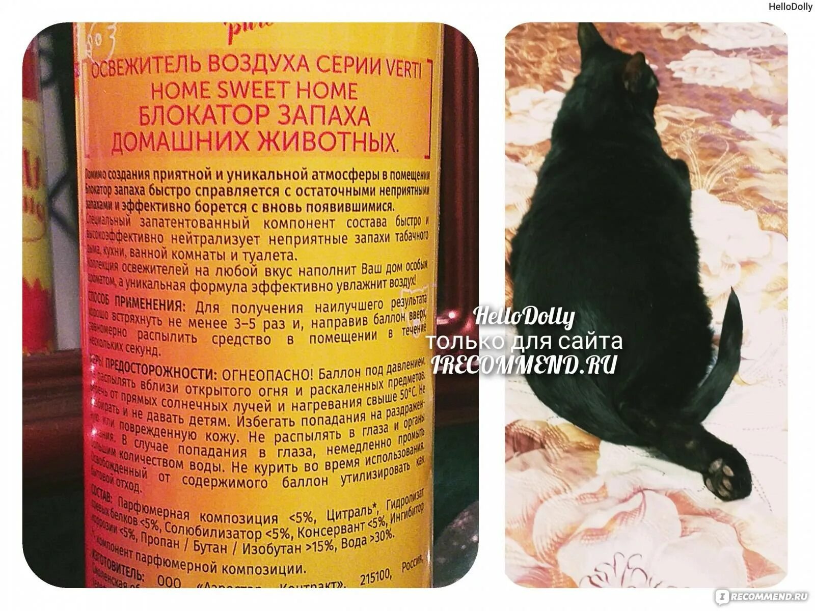 Какой запах не любят кошки. Запахи которые пугают кошек. блокатор запаха домашних животных. запахи которые не любят кошки. какой запах отпугивает кошек.