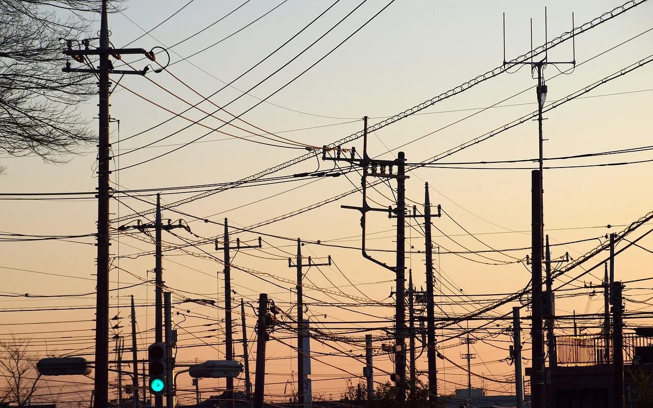 5. электрошнур для газонокосилки 50 м. 5. кабель электрический уличный. удлинитель садовый 30 метров.