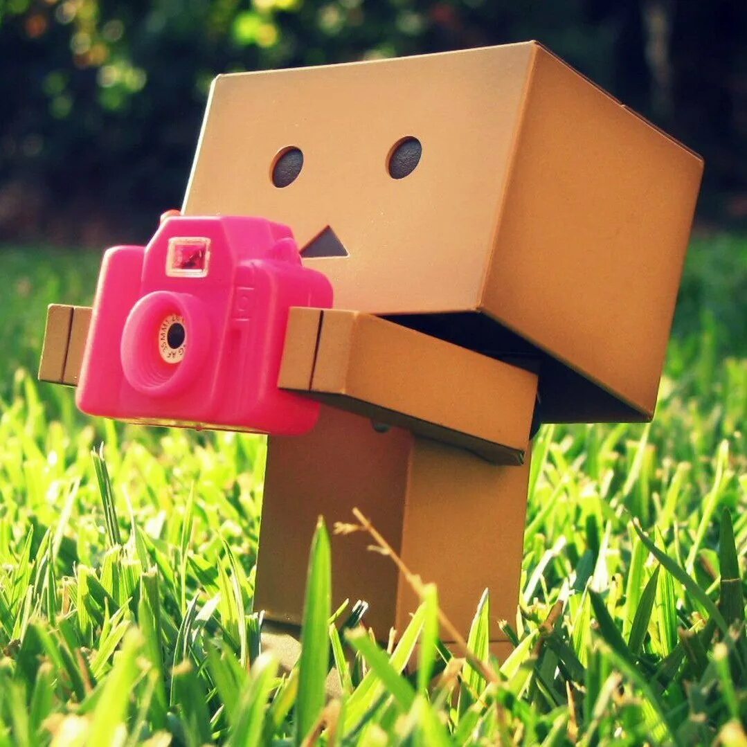 Живая коробочка. Человечек с коробкой. Коробочка данбо. Коробочка данбо. Коробочка данбо.