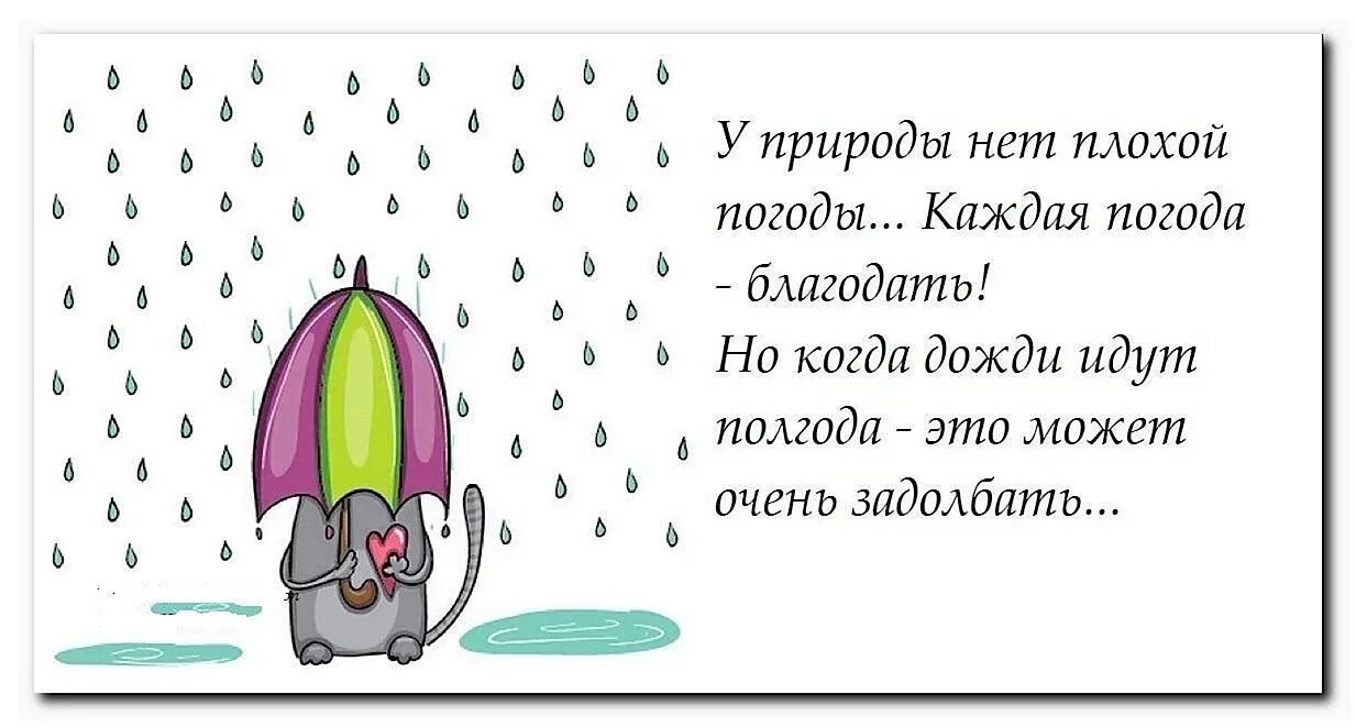 Анекдоты дождь пошел. Смешные стихи про дождь. Дождь смешные высказывания. Смешные цитаты про дождь. Смешные фразы про дождь.