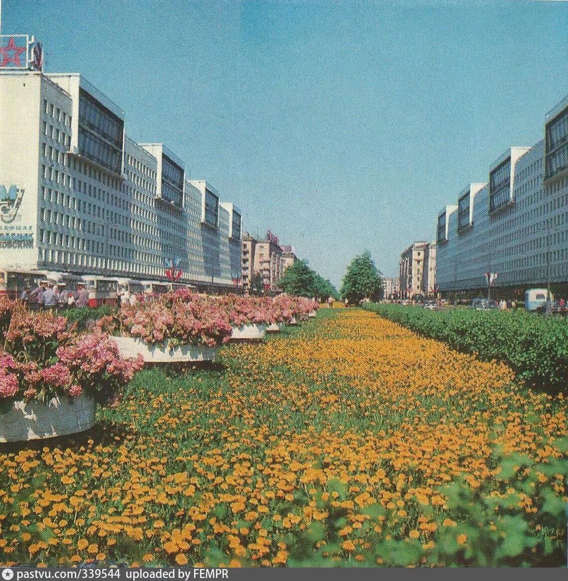 Универмаг Московский Ленинград. Ленинград 1972. Универмаг Московский Санкт-Петербург 1966 году. Советский город. Цветы советских времен