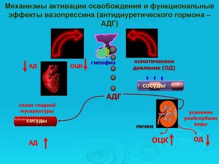 Функциональный эффект