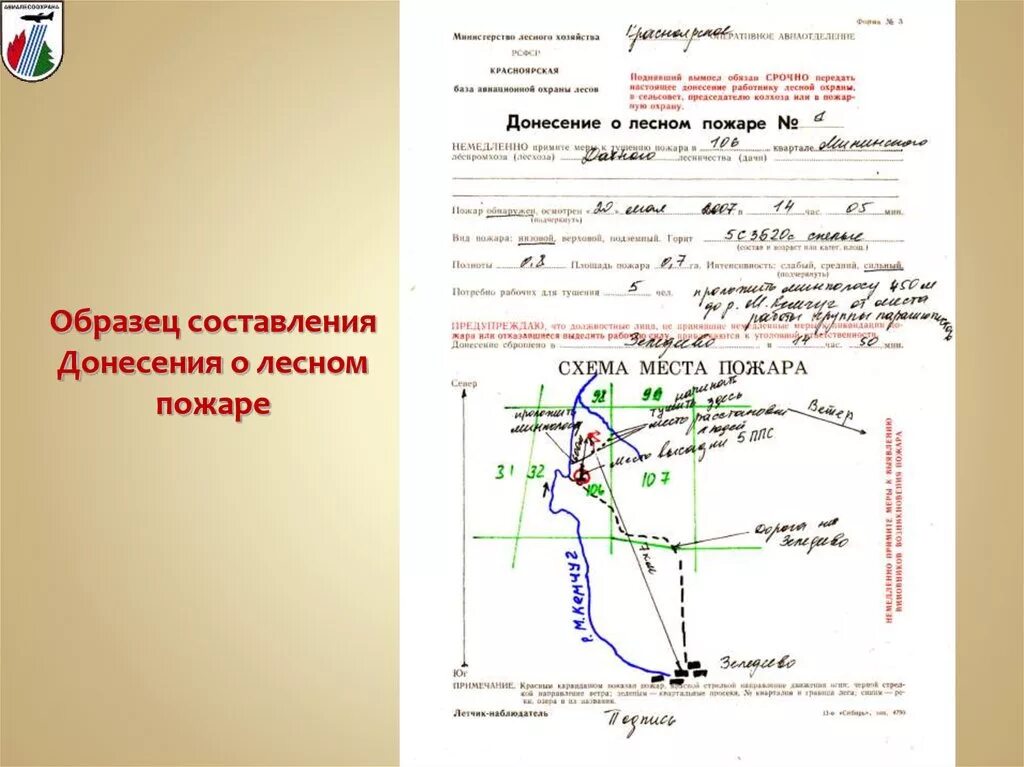 Донесение о пожаре. Донесение о пожаре образец. Донесение о Лесном пожаре. Донесение о пожаре образец заполнения. Акт о чрезвычайной ситуации