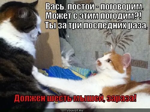 Спасибо аз внимание мем. Подожди поговори. Подожди поговори. Конец презентации смешные мемы. Лёха лёха мне без тебя плохо.