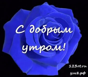 Открытки доброе утро юля