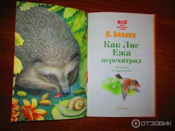 Про ежа и лису. Про ежа и лису
