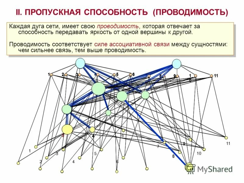 Сеть л 5. Схема ассоциированных связей мышц.