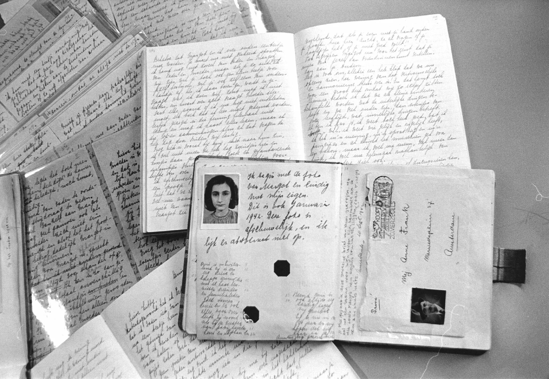 Книга ее дневник. Дневник Анны Франк. Дневник Анны Франк 1960. Дневники Анны Франк в концлагере.
