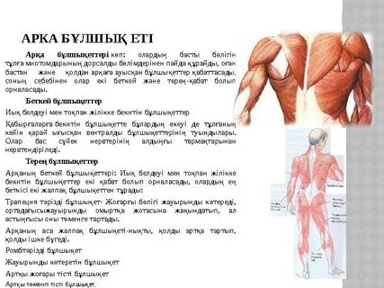 Миниатюралық секс