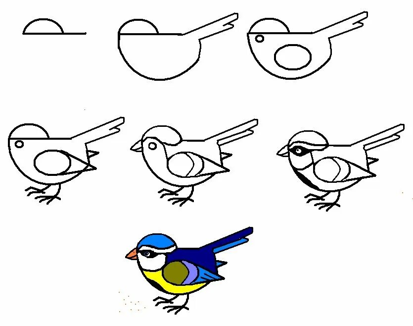 Рисунок птицы 5 класс. Птица рисунок. Детские рисунки птиц. Синица пошаговое рисование. Рисование синички.