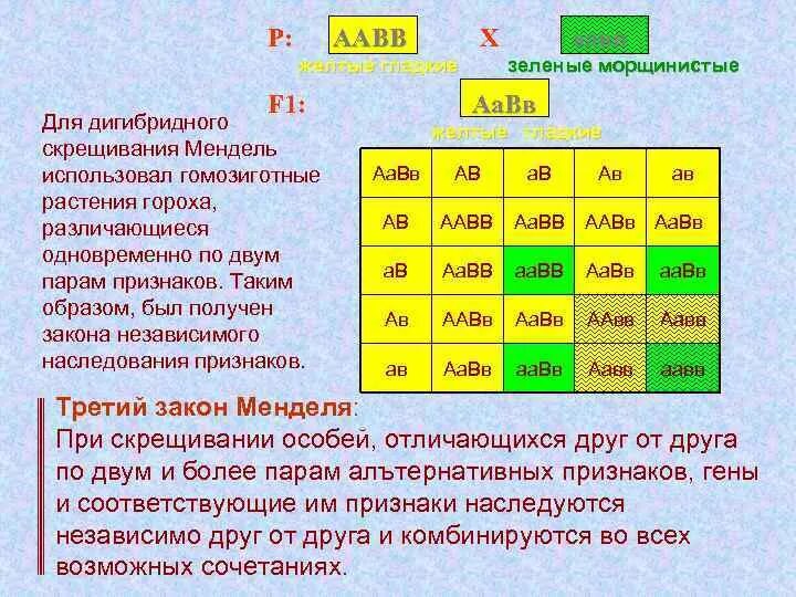 Последовательность действий при дигибридном скрещивании растений