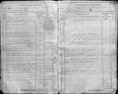 Тобольский уезд перепись