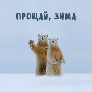 Форум 1 февраля