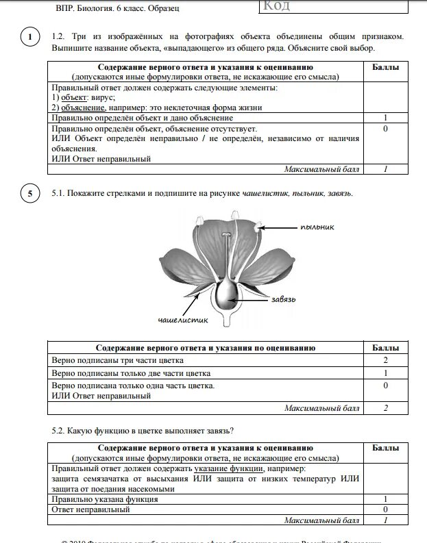 ВПР по биологии 6 класс с ответами. ВПР по биологии 6 класс тренировочные задания. ВПР по биологии задания с ответами 6 класс. ВПР 6 класс биология ответы.