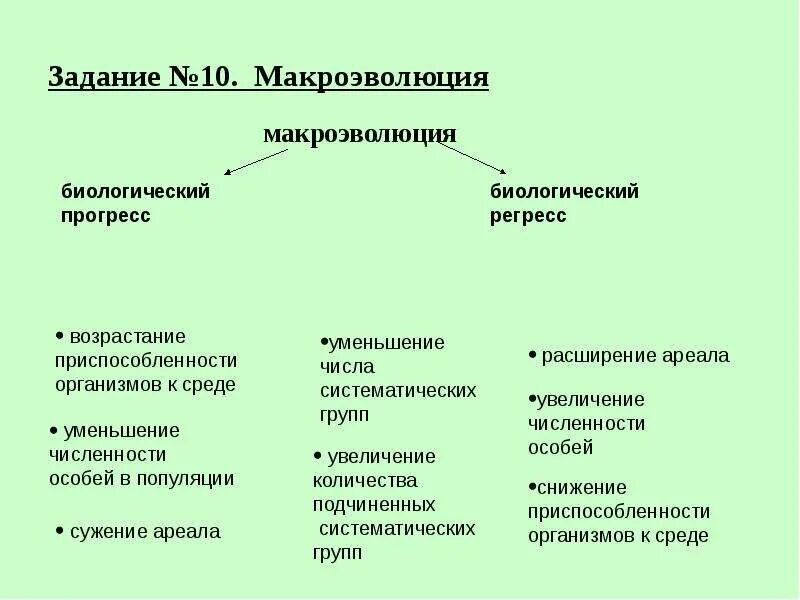 Основные направления макроэволюции. Формы макроэволюции таблица. Макроэволюция это в биологии. Формы макроэволюции. Тема микроэволюция и макроэволюция